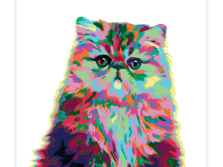 Paint by Numbers Kit: Abstract Persian Cat Online now