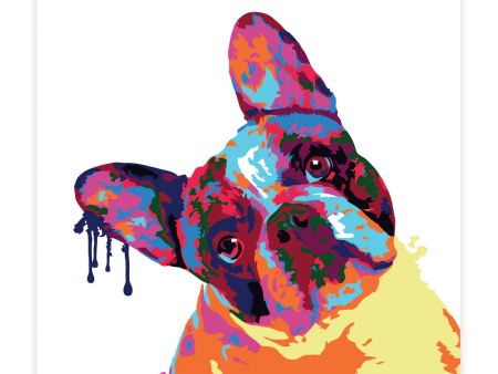 Paint by Numbers Kit: Abstract French Bulldog Cheap