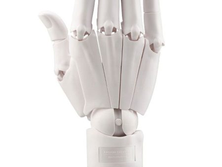 1 1 Artist Support Item Hand Model R -White- For Cheap