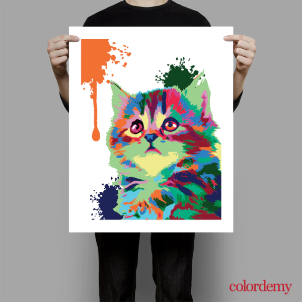 Premium Paint by Numbers Kit - Cute Cat Online Hot Sale