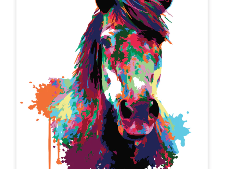 Premium Paint by Numbers Kit - Horse Abstract Style Splash Art Sale