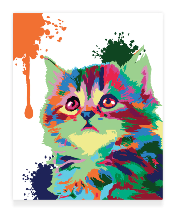 Premium Paint by Numbers Kit - Cute Cat Online Hot Sale